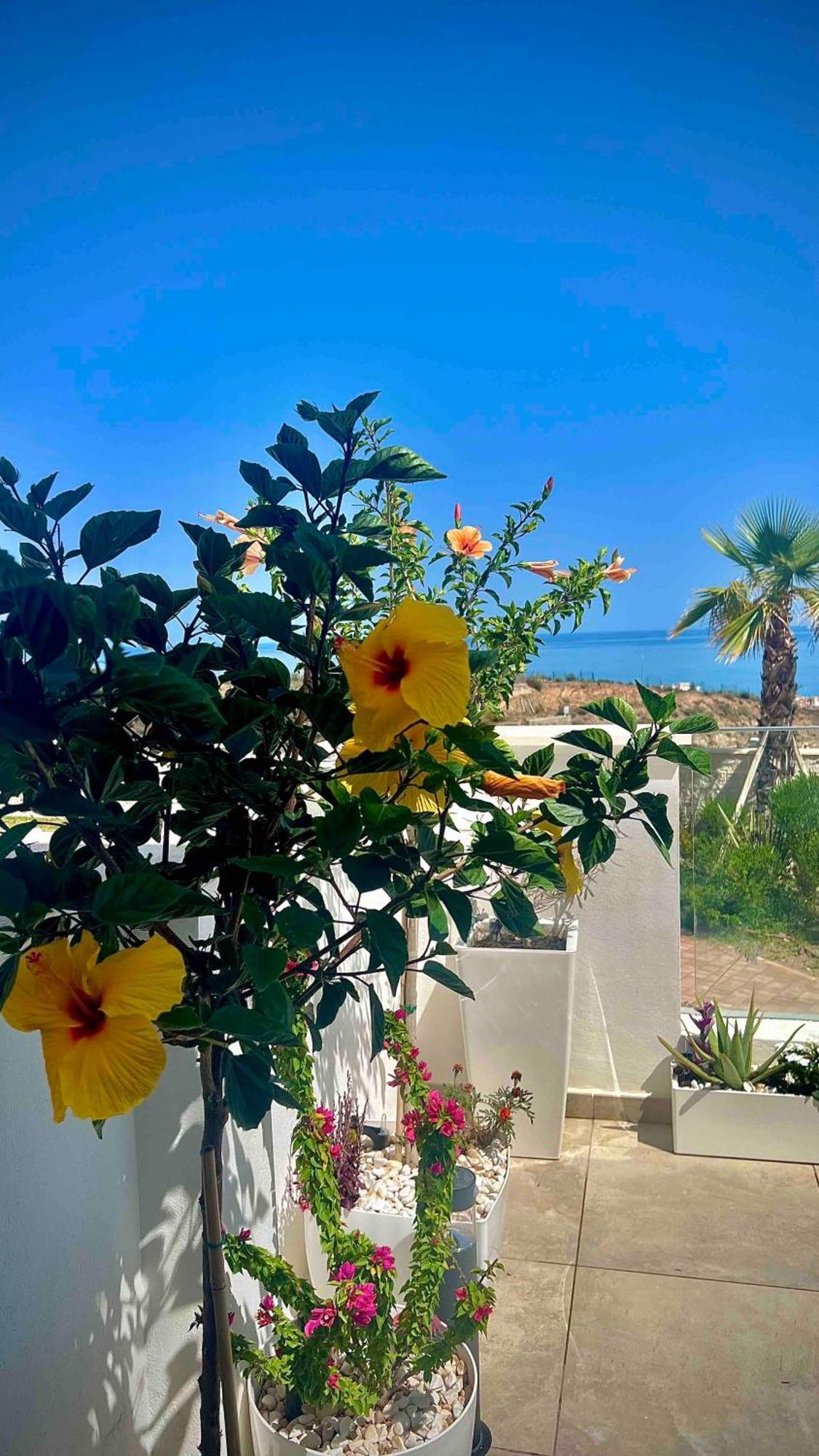Appartement Rincon Idilia à Rincón de la Victoria Extérieur photo
