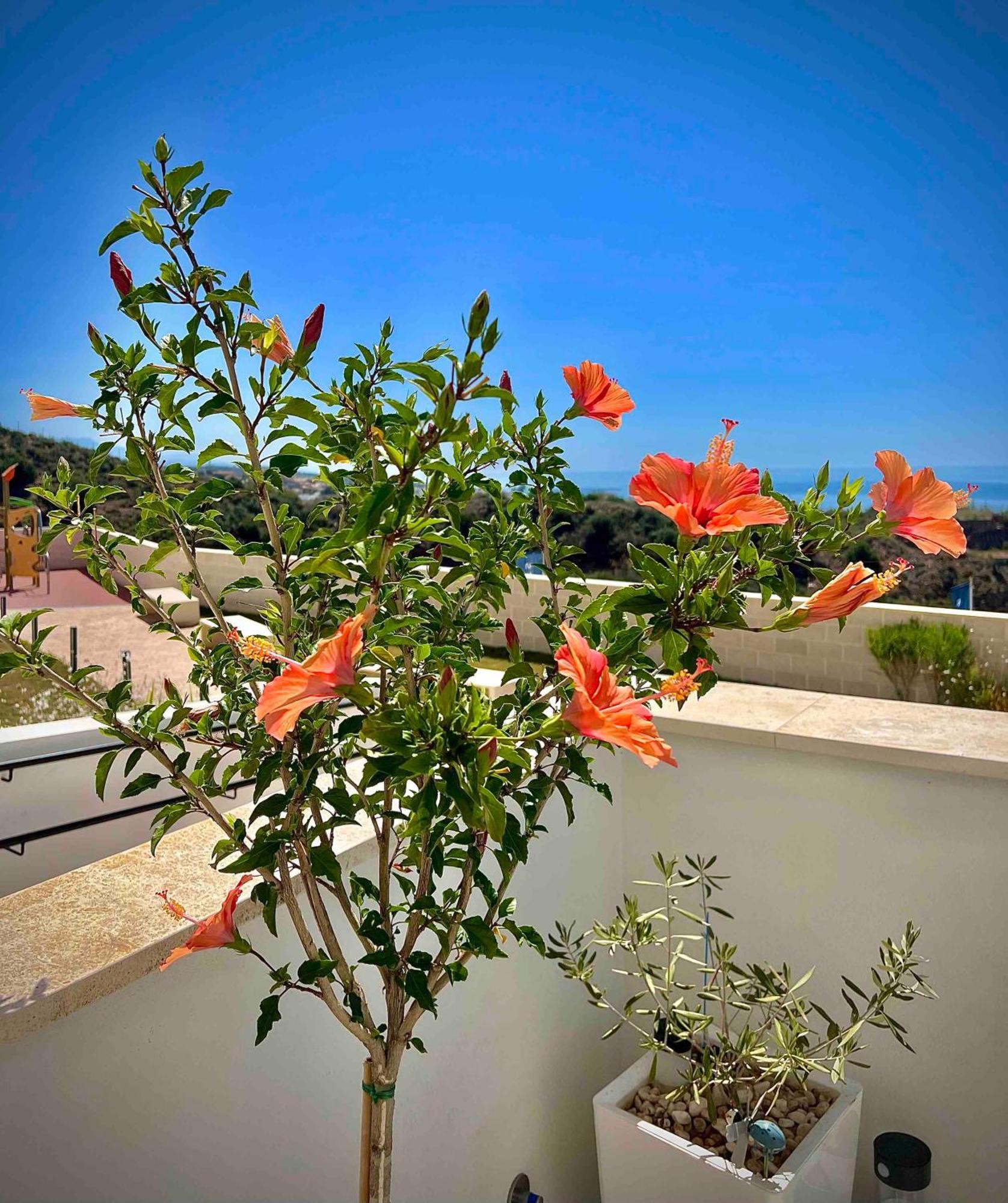 Appartement Rincon Idilia à Rincón de la Victoria Extérieur photo
